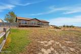 3202 Cactus Dr - Photo 53