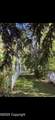 618 E Cleveland St - Photo 4