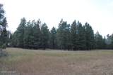 Lot 11 Bruin Road - Photo 40