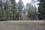 Lot 11 Bruin Road - Photo 41