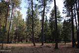 Lot 11 Bruin Road - Photo 42