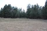 Lot 11 Bruin Road - Photo 43
