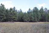 Lot 11 Bruin Road - Photo 44