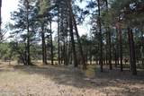 Lot 11 Bruin Road - Photo 45