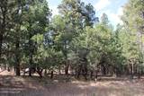 Lot 11 Bruin Road - Photo 46