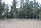 Lot 11 Bruin Road - Photo 49