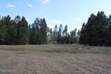 Lot 11 Bruin Road - Photo 50