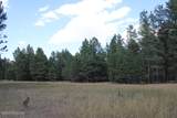 Lot 11 Bruin Road - Photo 51