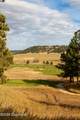 81 Whitetail Dr. - Photo 17