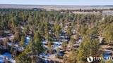 Tbd Coyote - Photo 11