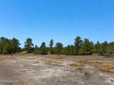 Tbd Coyote - Photo 3