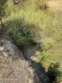 Tbd Coyote - Photo 6
