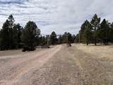 142 Bridle Bit Road - Photo 2