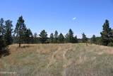 Tract 10 River Road - Photo 30