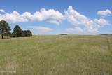 Tract 10 River Road - Photo 31