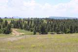 Tract 11 River Rd - Photo 26