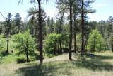 Tract 11 River Rd - Photo 27