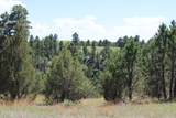 Tract 11 River Rd - Photo 28