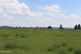 Tract 13 River Road - Photo 13