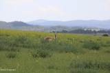 Tract 13 River Road - Photo 14