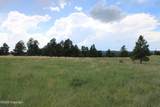 Tract 13 River Road - Photo 18