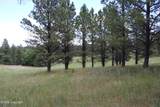 Tract 13 River Road - Photo 19