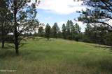 Tract 13 River Road - Photo 20