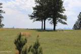 Tract 13 River Road - Photo 23