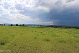Tract 14 River Road - Photo 13
