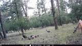 Tract 23 Pack Saddle Trail - Photo 43