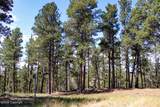 500 Mason Creek - Photo 26