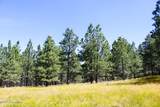 500 Mason Creek - Photo 28