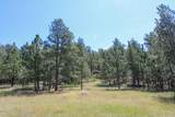 500 Mason Creek - Photo 29