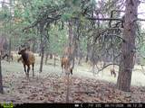 500 Mason Creek - Photo 30