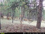 500 Mason Creek - Photo 31