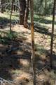 500 Mason Creek - Photo 34