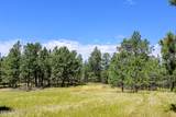 500 Mason Creek - Photo 38