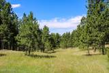 500 Mason Creek - Photo 39