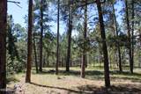 500 Mason Creek - Photo 40