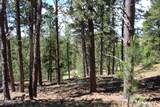500 Mason Creek - Photo 41
