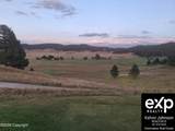 57 1/2 Tower View - Photo 5