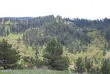 Tract 43 Bulldog Lane - Photo 4