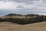 Tract 2 Lone Elk Ranch - Photo 14