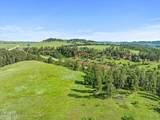 Tract 2 Lone Elk Ranch - Photo 4