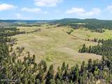 Tract 2 Lone Elk Ranch - Photo 7