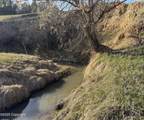 Tract 5 Lone Elk Ranch - Photo 11