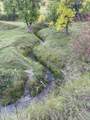 Tract 6 Lone Elk Ranch - Photo 15