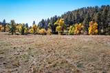 Tract 6 Lone Elk Ranch - Photo 18
