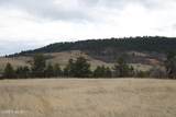 Tract 6 Lone Elk Ranch - Photo 20