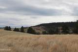 Tract 6 Lone Elk Ranch - Photo 22